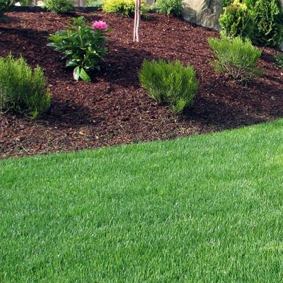 J A Landscaping Tree Fence Services, Landscaping Companies Alexandria Va