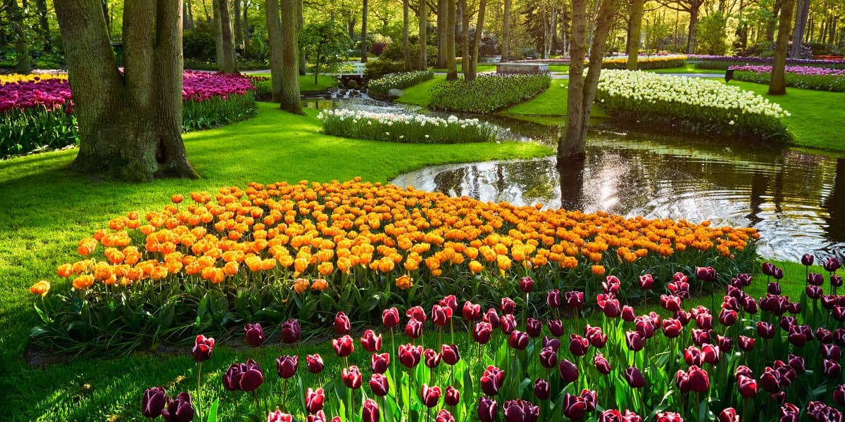 Flower Planting Services Northern Virginia